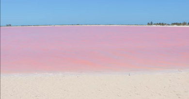 Las Coloradas en Yucatan