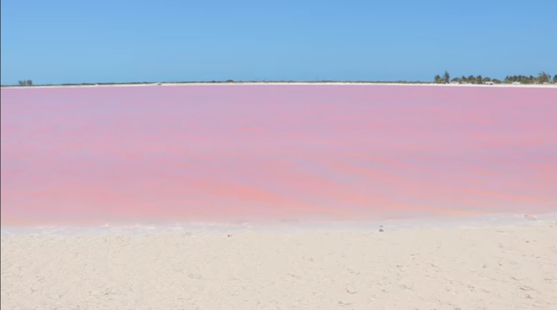 Las Coloradas en Yucatan